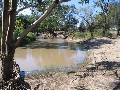 GOOD CATTLE COUNTRY CLOSE TO TOWN Picture