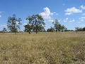 GOOD CATTLE COUNTRY CLOSE TO TOWN Picture