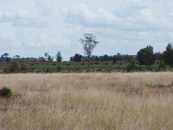 Realistic Vendor Picture 1