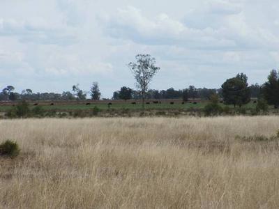 Realistic Vendor Picture