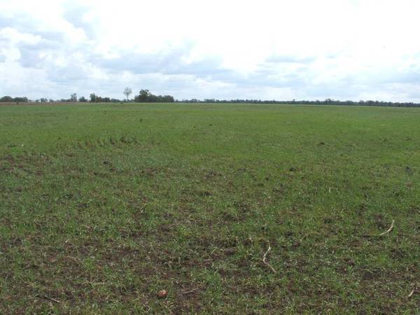 Realistic Vendor Picture 2