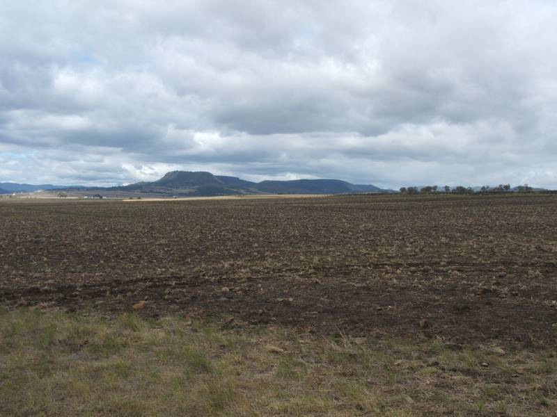 ROOM TO MOVE !! Picture 3