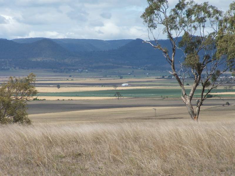 ROOM TO MOVE !! Picture 1