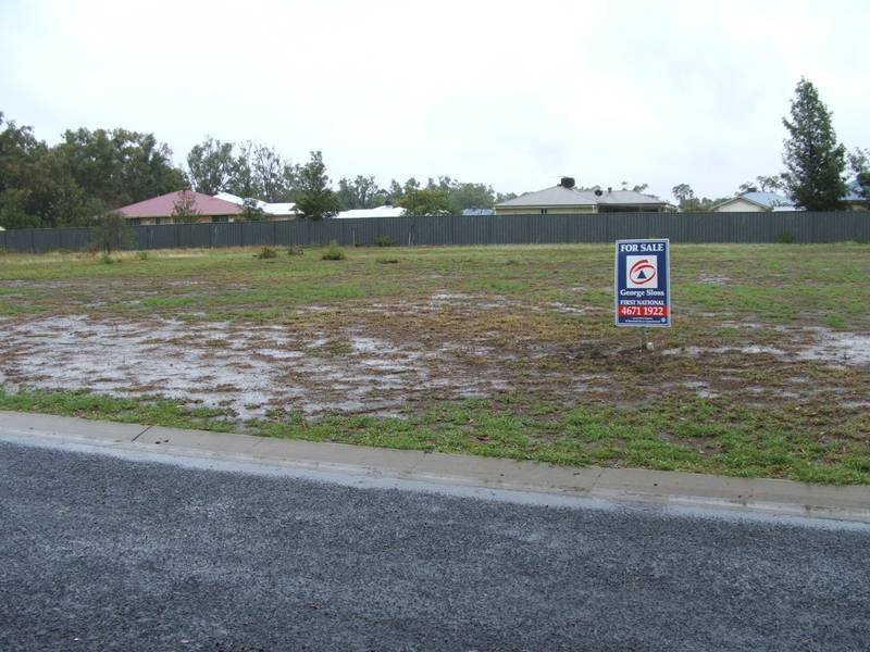 Pharlap Ct Picture 2