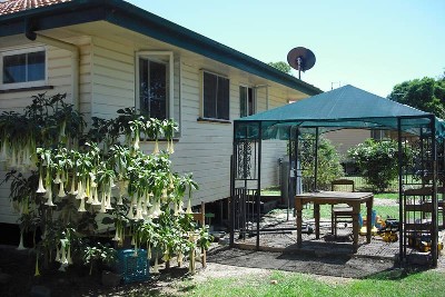 GET OUT OF THE RENT TRAP Picture