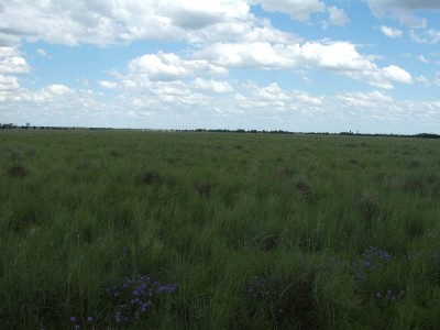 WILLING TO SELL IN PORTIONS Picture