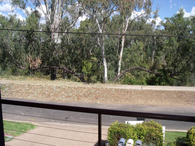 Overlooking the River Picture 2