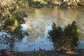 MACINTYRE RIVER FRONTAGE Picture