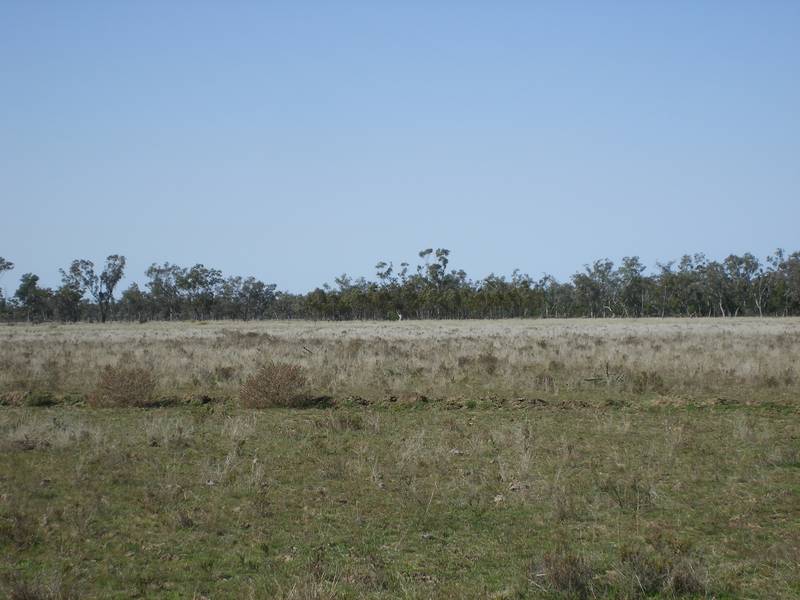Lifestyle Block Lot 7: 106ha or 262acres Picture 3
