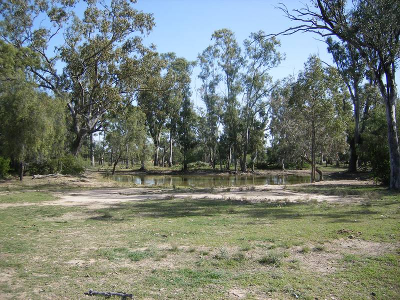 Lifestyle Block Lot 75: 76.55ha or 189 acres Picture 1