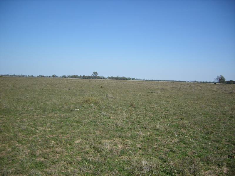 Lifestyle Block Lot 75: 76.55ha or 189 acres Picture 2