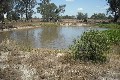 GRAZING BLOCK ON EDGE OF TOWN Picture