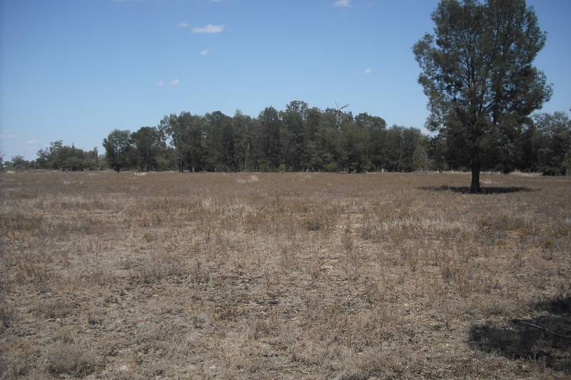 GRAZING BLOCK ON EDGE OF TOWN Picture 1