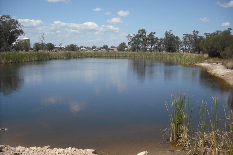 GRAZING BLOCK ON EDGE OF TOWN Picture 3