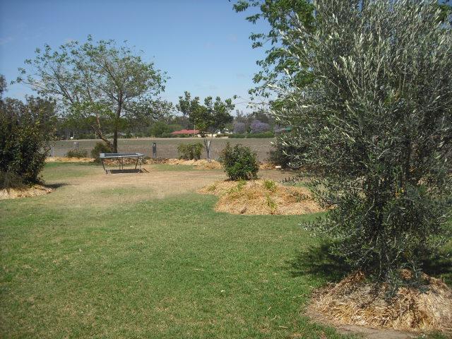 COUNTRY HOMESTEAD ON 1/2 ACRE Picture 3