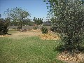 COUNTRY HOMESTEAD ON 1/2 ACRE Picture