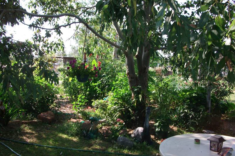 NEAT & TIDY..... SO IS THE PRICE Picture 2