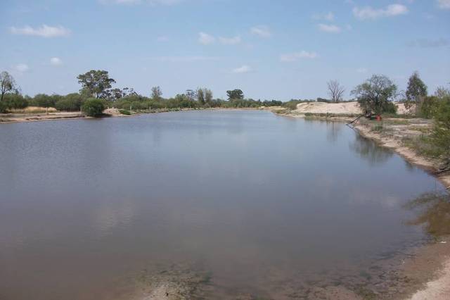 PRICE REDUCED - OWNER ON THE MOVE Picture 3