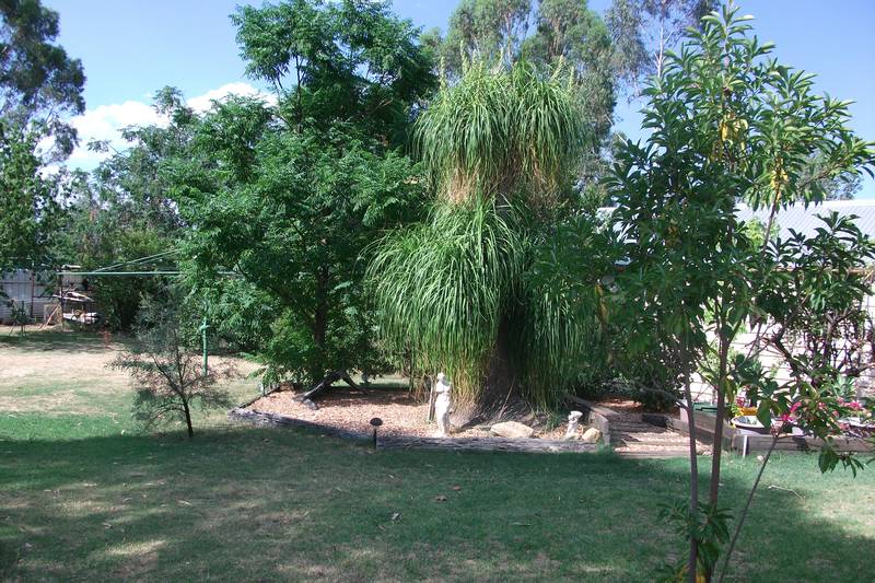 SIMPLY MOVE IN AND ENJOY Picture 2