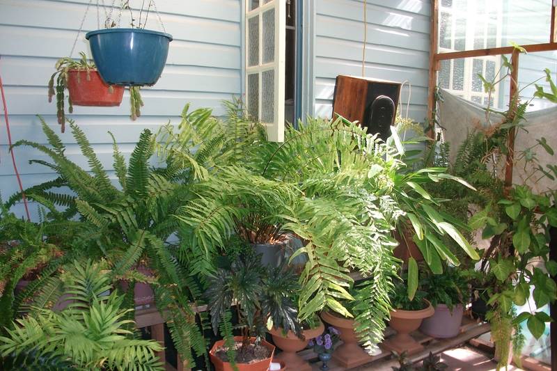 SIMPLY MOVE IN AND ENJOY Picture 3