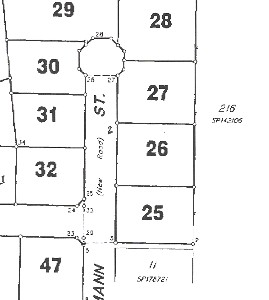 Botanical Views Picture