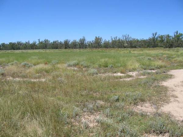 Yelarbon Block With Water Frontage Picture 3