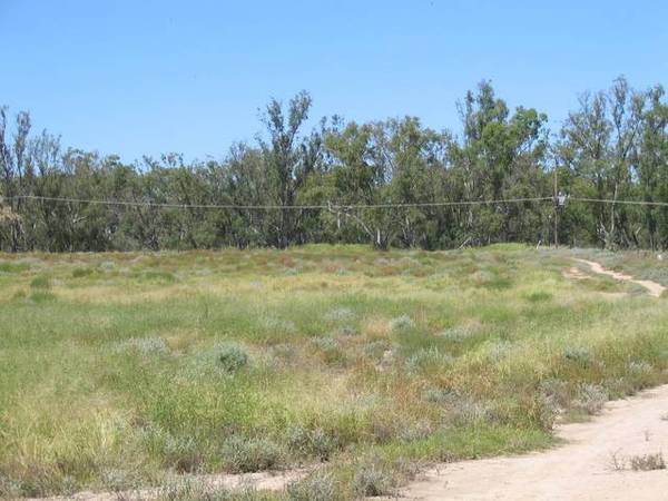 Yelarbon Block With Water Frontage Picture 2