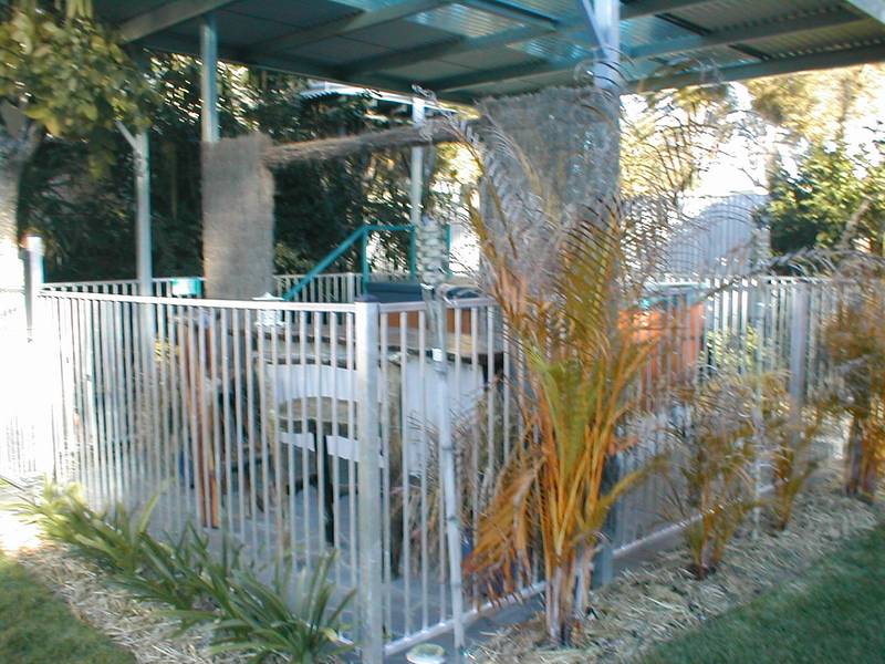 Their Pride... Your Joy Picture 3