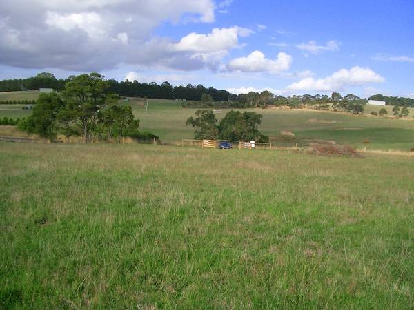 STOP DREAMING Picture 2