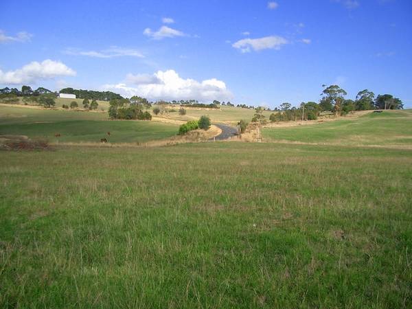 STOP DREAMING Picture 3