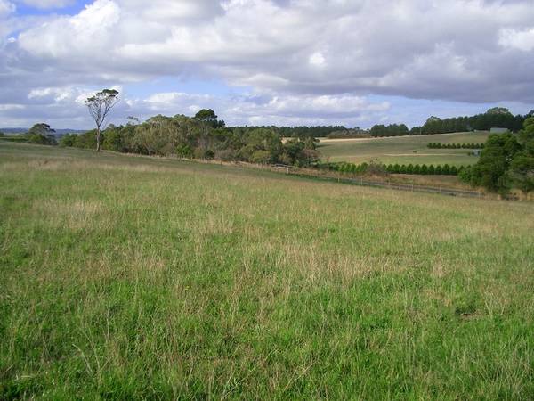 STOP DREAMING Picture 1