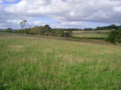 STOP DREAMING Picture STOP DREAMING Picture