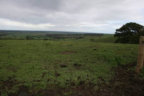 DO YOU WANT VIEWS????? Picture 1