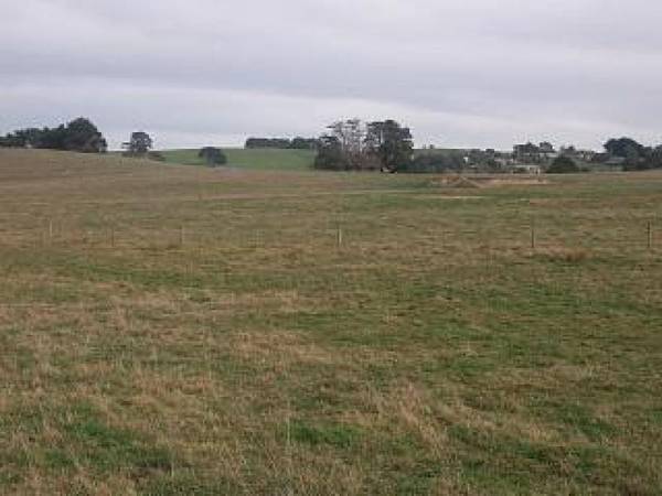 DAISYBANK ESTATE Picture 3