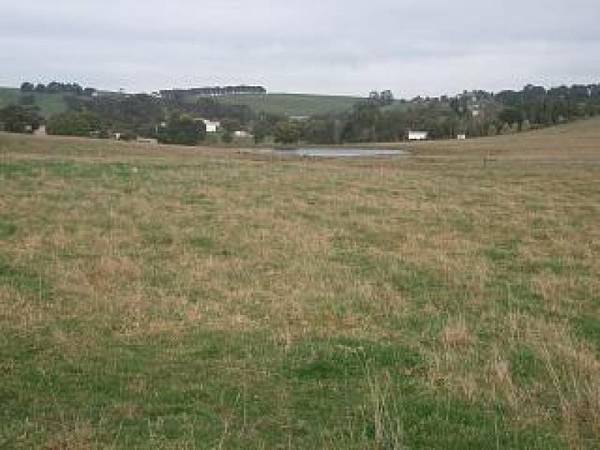 DAISYBANK ESTATE Picture 2