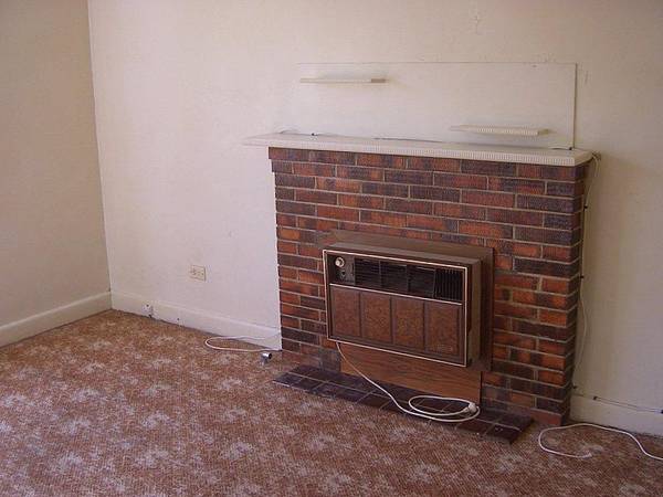 MR INVESTOR Picture 3