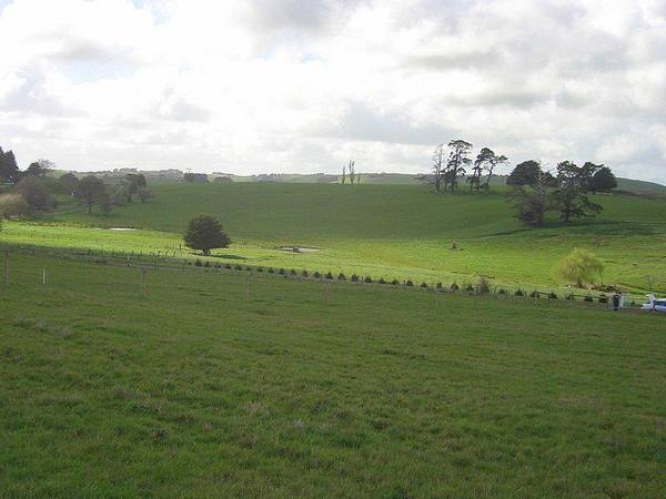 RURAL LIVING ON 2.5 ACRES Picture 3