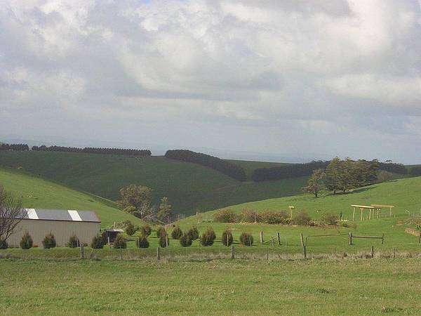 RURAL LIVING ON 2.5 ACRES Picture 2