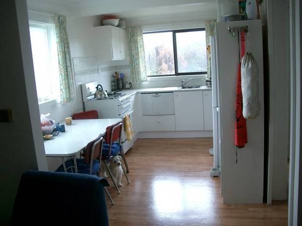 VALUE HERE Picture 3