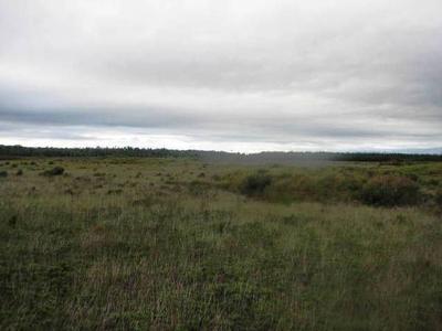 DAIRYING POTENTIAL - LARGE LEVEL BLOCK Picture DAIRYING POTENTIAL - LARGE LEVEL BLOCK Picture