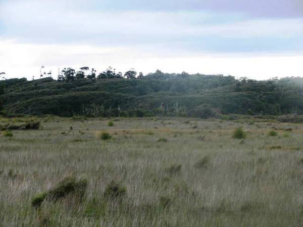 DAIRYING POTENTIAL - LARGE LEVEL BLOCK Picture 2