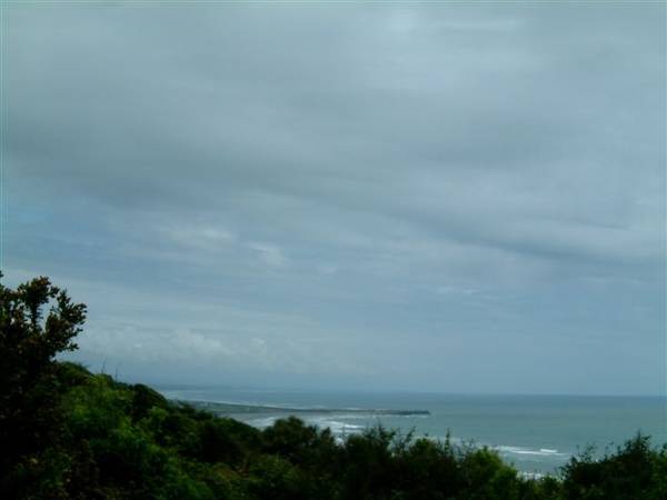 NATURE IN CREATION - Price By Negotiation Picture NATURE IN CREATION - Price By Negotiation Picture