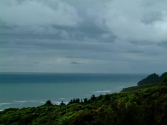 NATURE IN CREATION - Price By Negotiation Picture NATURE IN CREATION - Price By Negotiation Picture