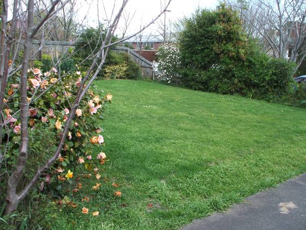 POTENTIAL PLUS... Picture POTENTIAL PLUS... Picture