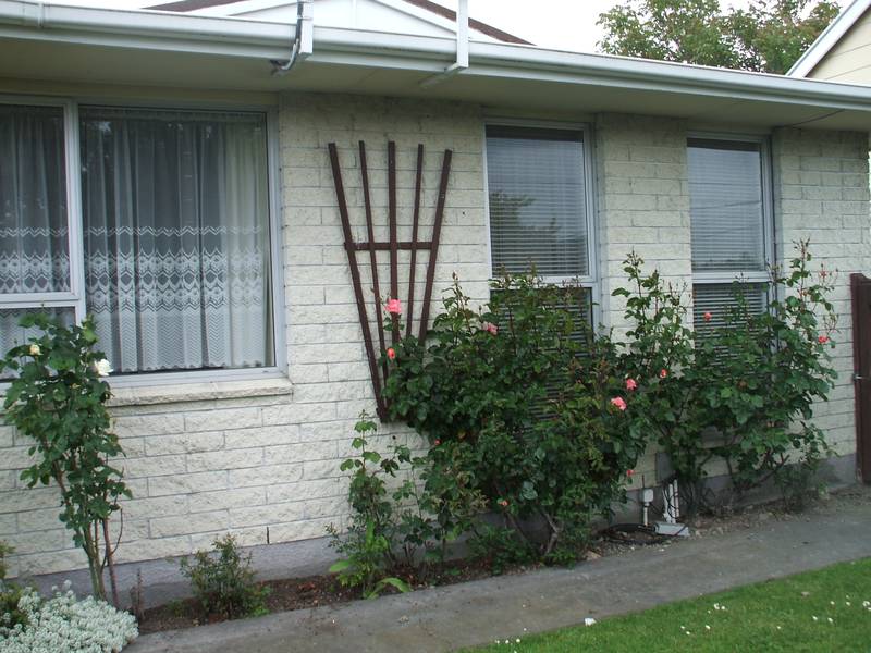 SO CLOSE TO THE CITY Picture SO CLOSE TO THE CITY Picture