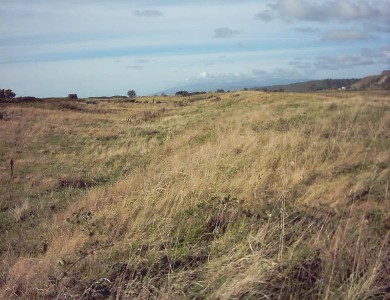 IMAGINE........... Picture IMAGINE........... Picture