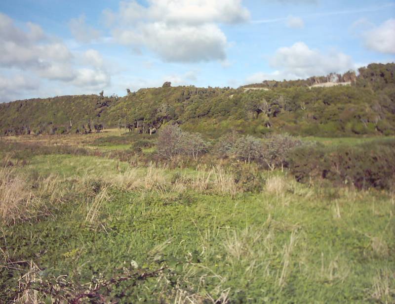 IMAGINE........... Picture 3