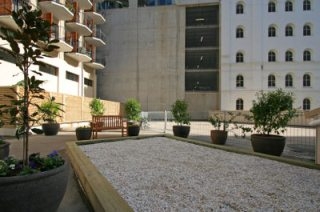 $470 per week Picture 1