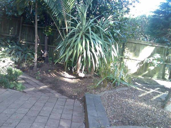 3 Bedroom Terrace House in Grammar Zone Picture 3