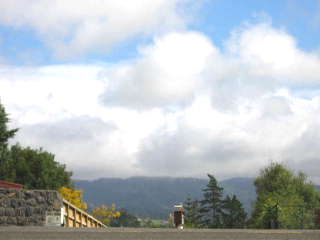 4142 Great North Road, Glendene Picture 1